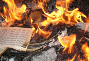 Libri in fiamme